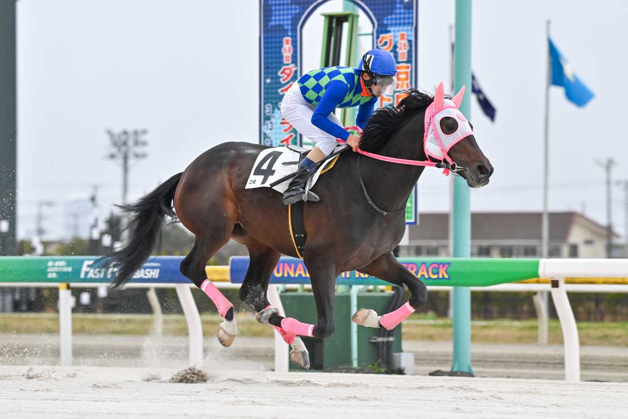 競馬 勝負服 ヒダカ・ブリーダーズ・ユニオン - その他