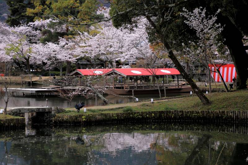大沢池_005.jpg