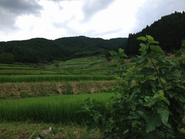 4実家山１6007月.jpg