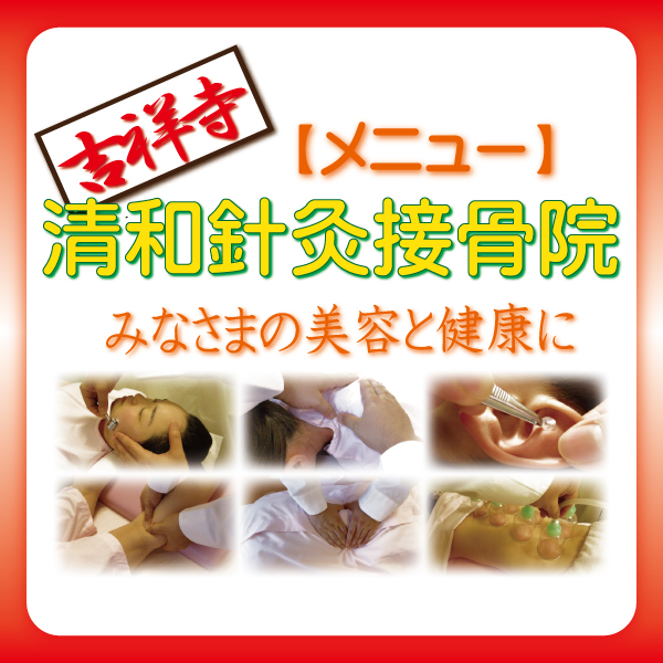 【大田区で美顔鍼を探すなら】吉祥寺の清和針灸接骨院 rakuten menu