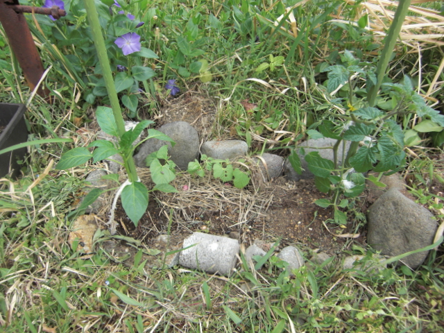 20150507-2.JPG