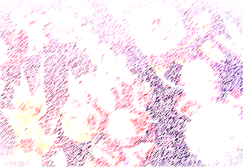 おかしな寄り道