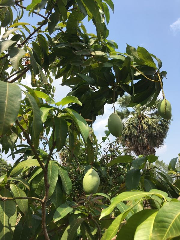 rblog-20190331175602-01.jpg
