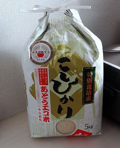 2012100602
