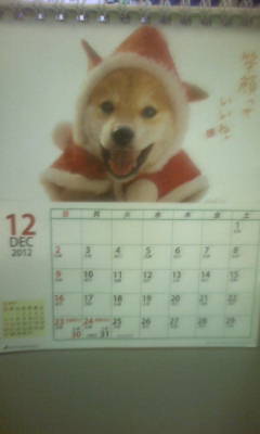 20121203224020.jpg