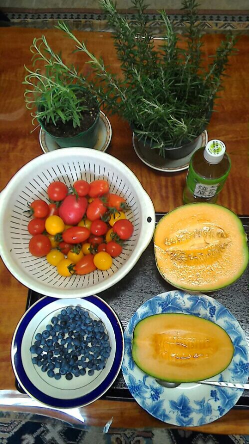 rblog-20160718184036-05.jpg