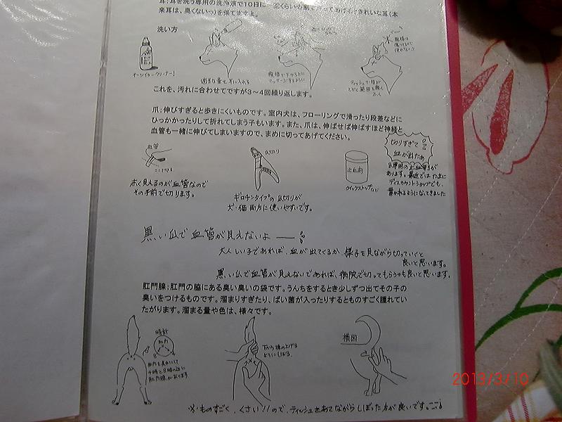 030-2.jpg