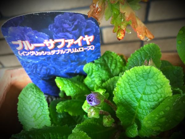 rblog-20160403110155-04.jpg