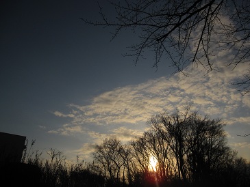 IMG_7500.JPG