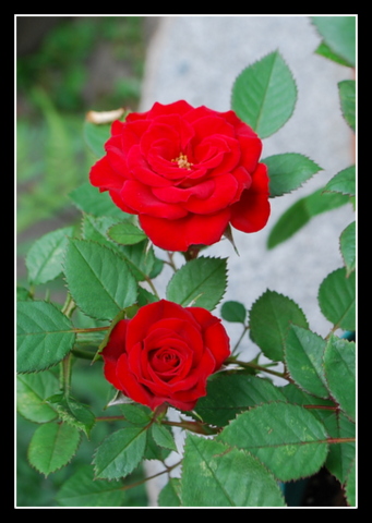 DSC_0044.JPG