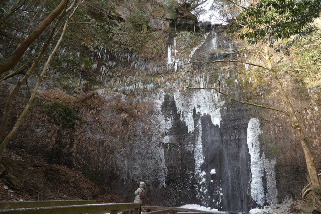 515