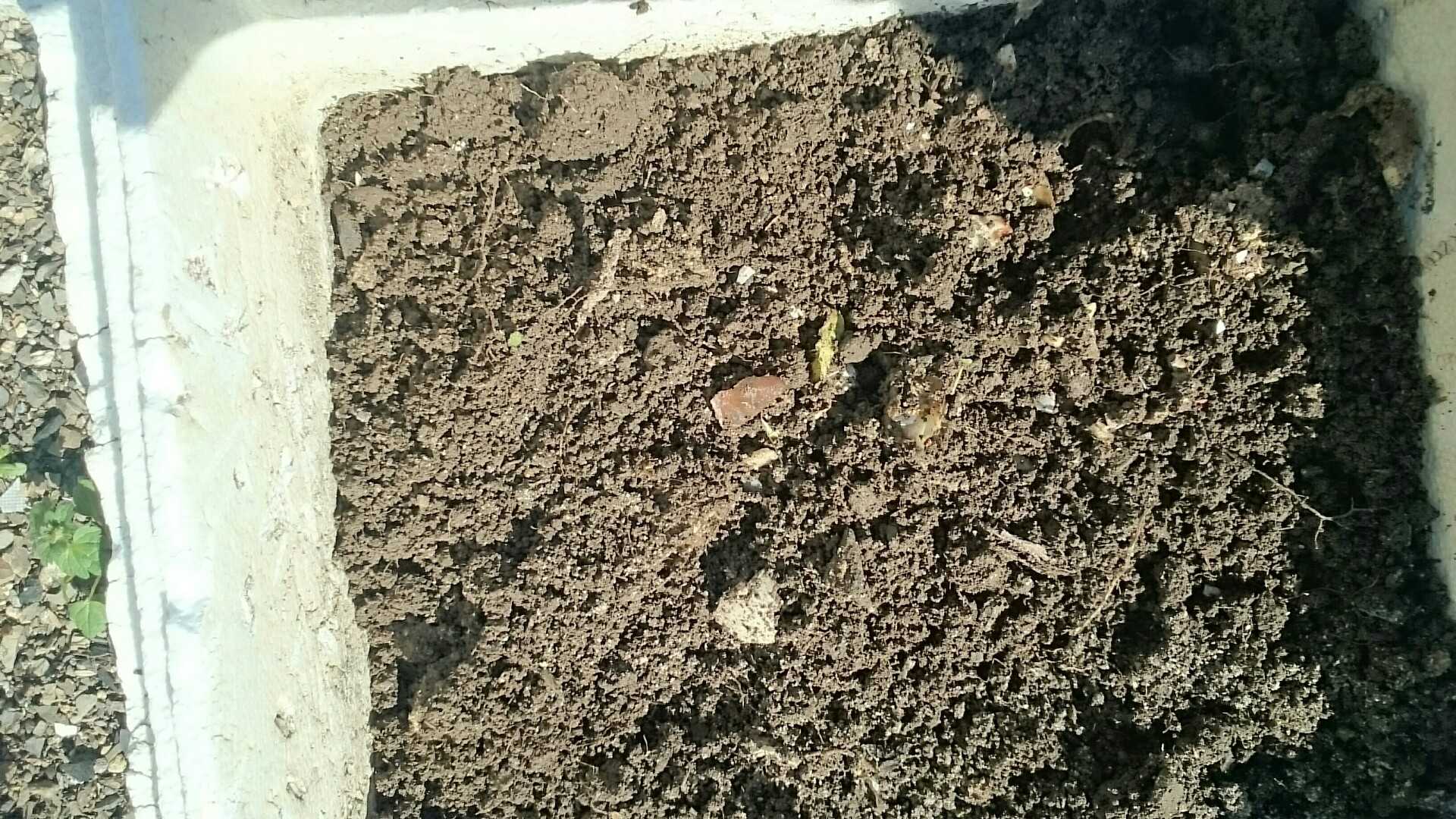 堆肥づくり 田舎暮らしのキッチンガーデン 楽天ブログ