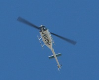 IMG_7455-3.jpg