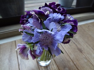 DSC01226.jpg