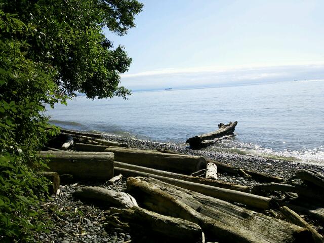20130621_173601.jpg