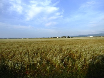 CIMG0558.JPG