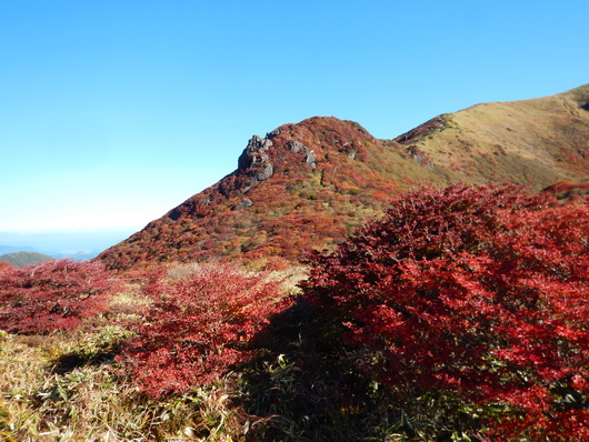 星生山方面を見る(530).jpg