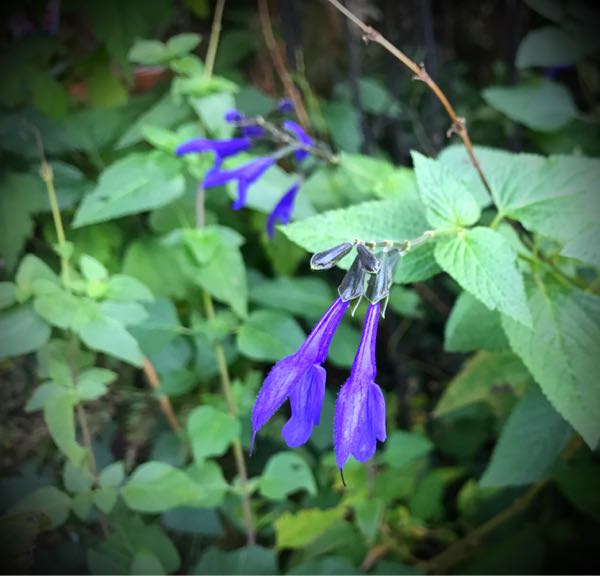 rblog-20161030163233-04.jpg