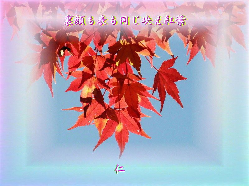 裏顔も表も同じ映え紅葉 物真似５７５冬ｚｒｍ１７０５ 一日一感動 楽天ブログ