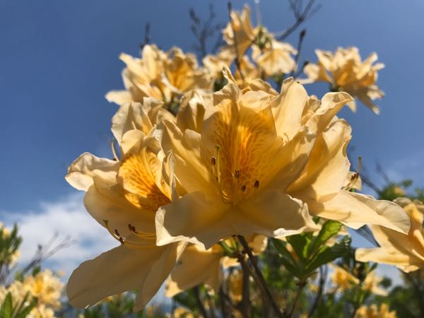 rblog-20170519112607-02.jpg