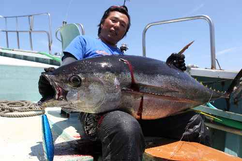 2012キハダマグロ 124.JPG