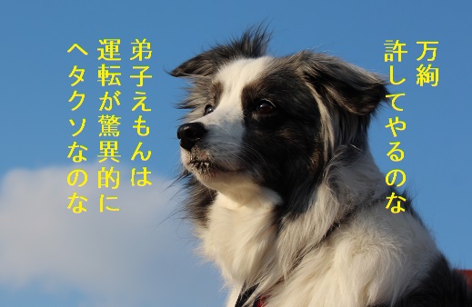 アリス