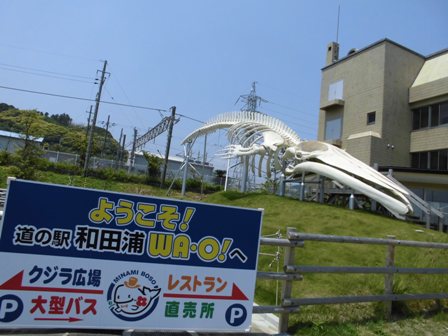 CIMG0190.jpg