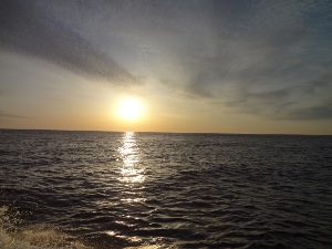 DSC02760.JPG