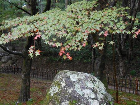 香嵐渓