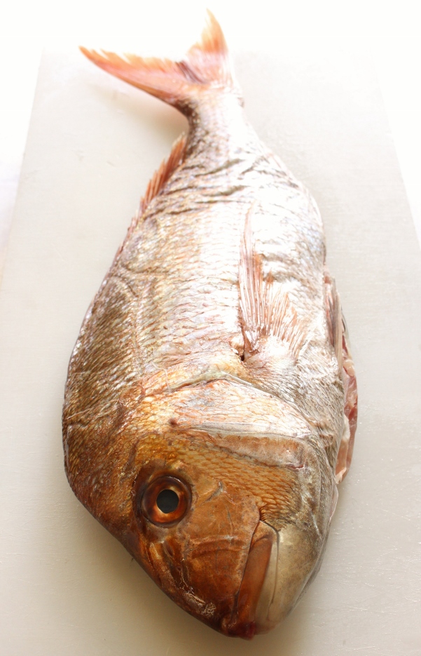 天然真鯛.jpg