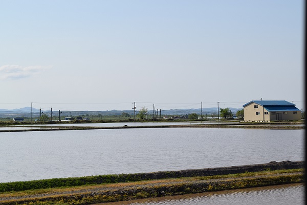 滝川市の田んぼ、水は張られている