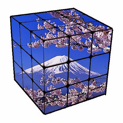 2013-03-13ルービック桜完成.gif