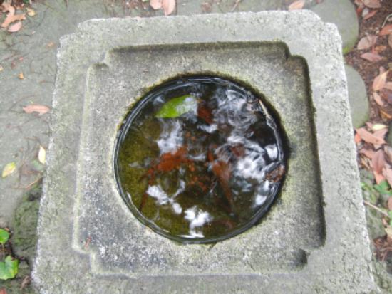 DSCN6053.JPG