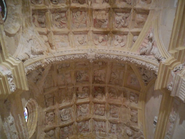DSCN8362.jpg