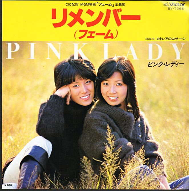 ピンク レディー リメンバー フェーム 1980年 thシングル おじなみの日記 楽天ブログ