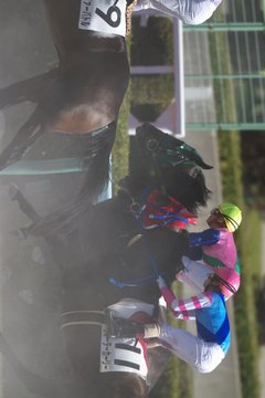 ゴール