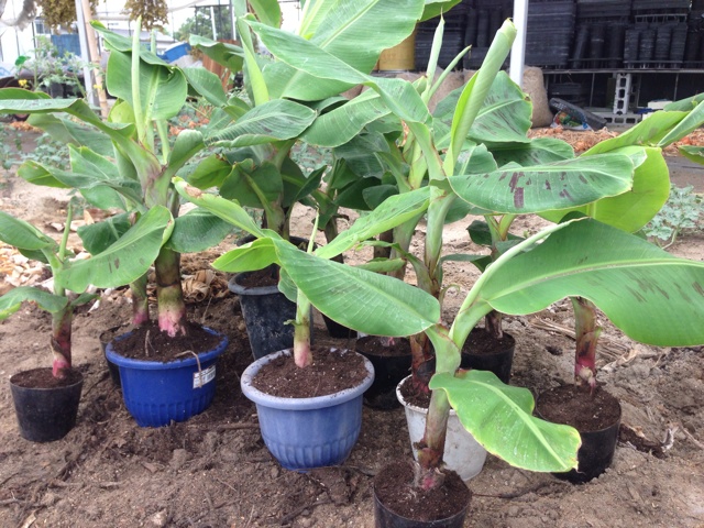 rblog-20130620095604-02.jpg