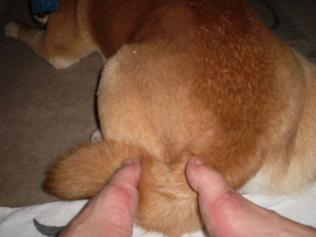 P7020009.JPG