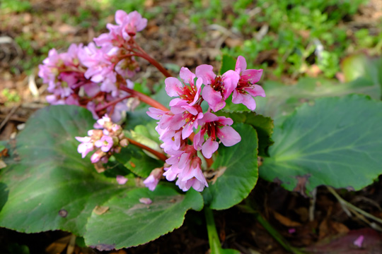 2016 03 31_2417.jpg