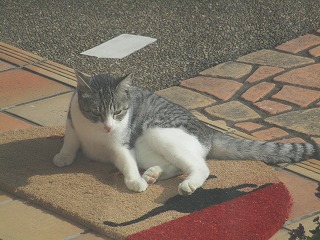 IMG_6682ss.jpg