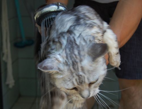 DSC_0524.JPG