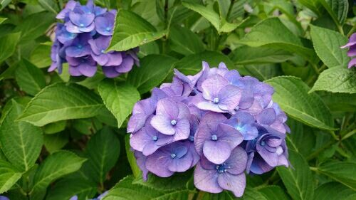 rblog-20170704182818-02.jpg