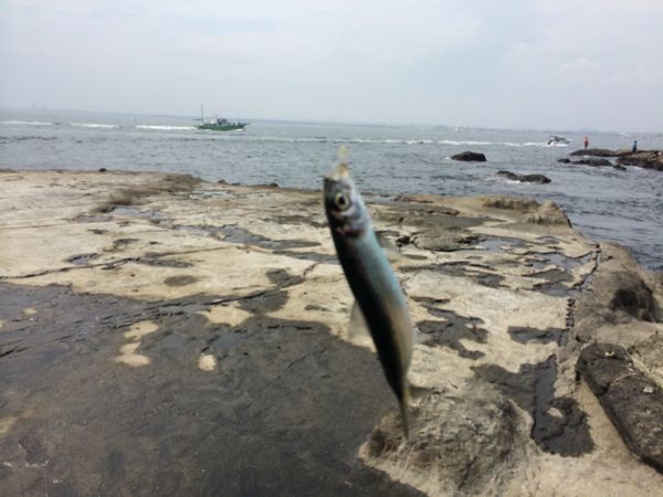 rblog-20140721012044-02.jpg