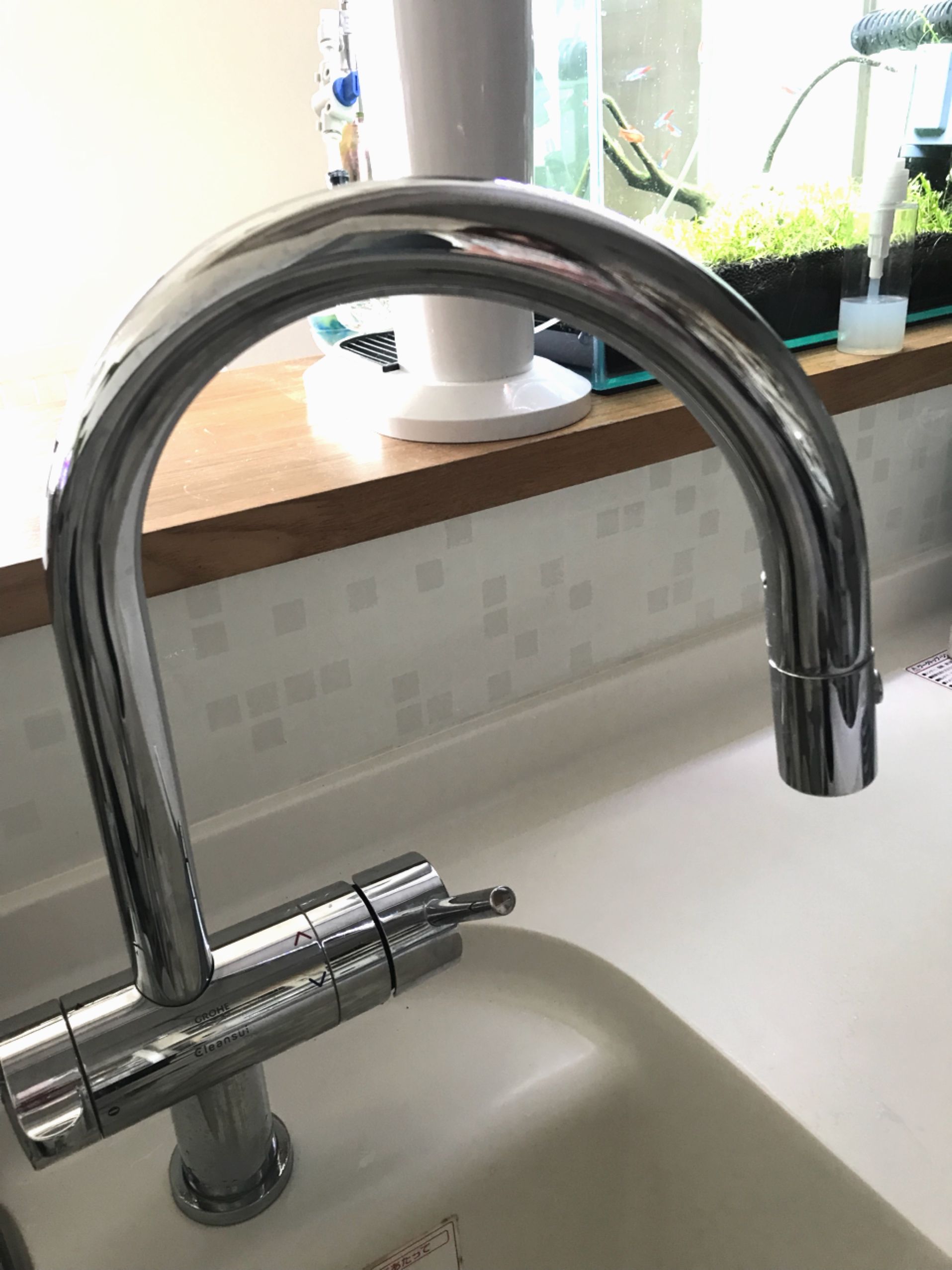 28628000 シャワーホルダー付シャワー給水口 グローエ_直送品1_（GROHE