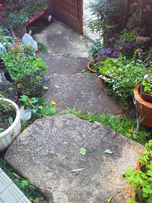 F1000358.JPG