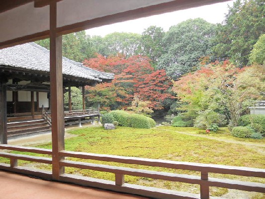 2015-11 随心院庭園の紅葉.jpg