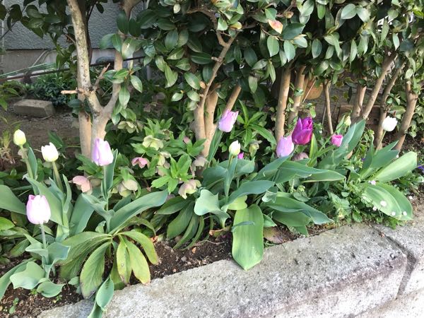 rblog-20180408180927-07.jpg