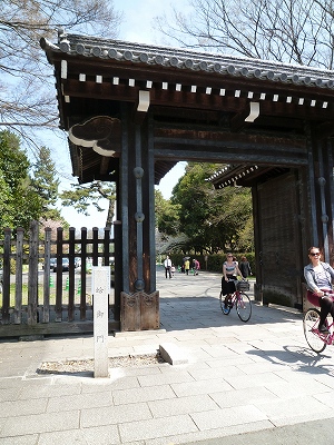 蛤御門