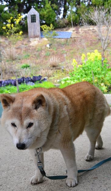 DSC_0035.JPG