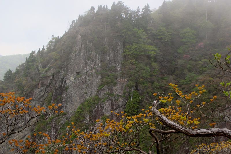 大台ケ原_8-3.jpg
